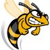 Mad Bee FPV (@madbeefpv) Twitter profile photo Mad Bee FPV (@madbeefpv) Twitter profile photo
