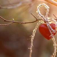 نسايم اليل (@aryamm2010) Twitter profile photo