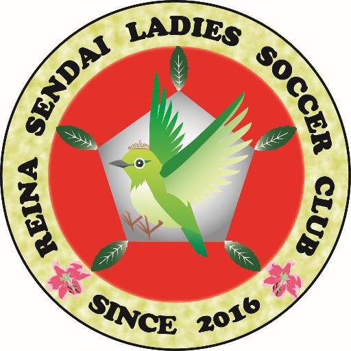 鹿児島県薩摩川内市を活動拠点とする女子サッカークラブです。女子サッカー最高峰リーグ『なでしこリーグ』を目指しています。