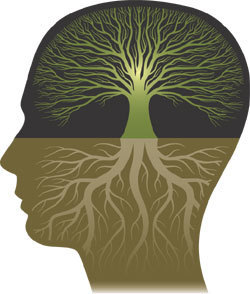 It is time to get away from the radical right and the radical left. Intelligent Independents have found a home with us.