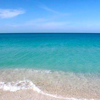 yourbestactive1's profile picture. 