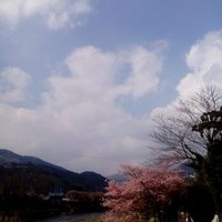 sunsunsunday (@wasabe717) 's Twitter Profile