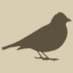 Chaffinch Records (@chaffinchrecord) Twitter profile photo