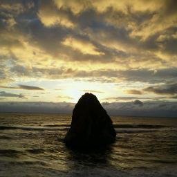 海,里山,渓流,伝統文化:偶にブログに書いてます:無言フォローすみません:DM見ておりません:写真/美術/寺社/科学/自然/教育/大学/地域/行政/報道/アニメ/SF/珈琲/和菓子