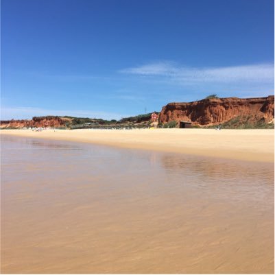 Groomer68's profile picture. 