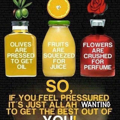 ADEDVALUE's profile picture. Truth