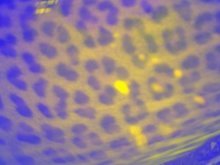 BioGal's profile picture. Some things were never said, done, experienced or thought because we never knew how... We do now.