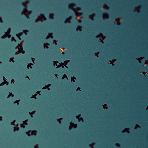 OMGizmo's profile picture. Photo & Video Creative Tech Blogness