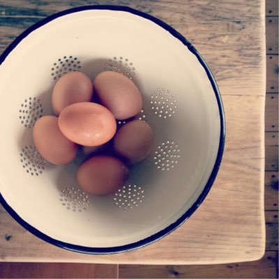 FarmStaySW's profile picture. Stay on a Farm on one of our properties in the South West. #Farmstay #BandB, #Glamping, #selfcatering. #Devon #Somerset #Cornwall #Wiltshire #Dorset #hampshire