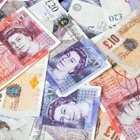 trib (@tribpig1) 's Twitter Profile