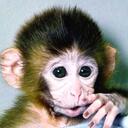 Steve Grossman - @onabike - Twitter