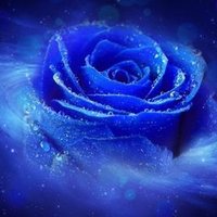 lisa stewart (@lisaxloves2sing) 's Twitter Profile