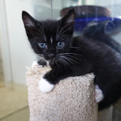 Syntropy's profile picture. Owner of Tantra Restaurant, Seeking Syntropy in Food, Music and the Surrounding Universe