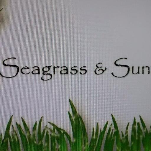 Don't buy a new sofa. That can be costly redecorate for less. That's how Seagrass & Sun came about. Handmade decorate pillows can add a new look to your sofa,