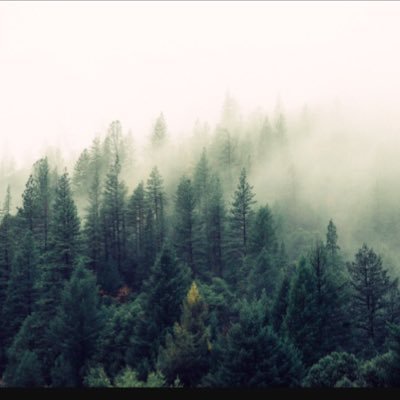 patricke1001's profile picture. 