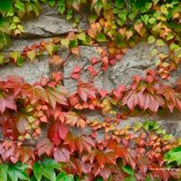 Barış Yoldaş (@yoldasbar) Twitter profile photo