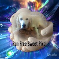 Angel Pixel loves #AngelLuna (@pixeldoggy) 's Twitter Profile