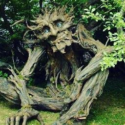 GDTs_Gardening's profile picture. Gardening Dedication Team (GDT) is a free gardens service for old age people and people with a disability,