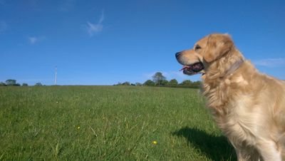 adamcoulter's profile picture. 