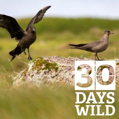 becksmaxgreen's profile picture. Ranger, all views my own