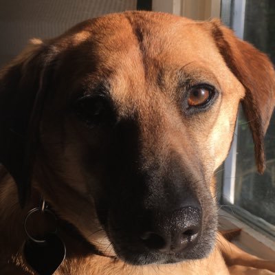 kylabow's profile picture. 