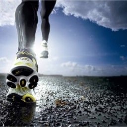 elrincondelrun's profile picture. 