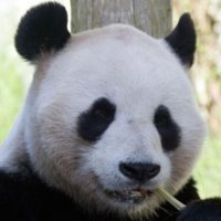 Rory MacLeod (@onthe4and) 's Twitter Profile Photo Rory MacLeod (@onthe4and) 's Twitter Profile Photo