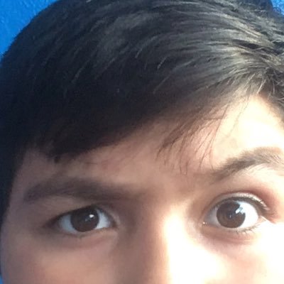 Edbot_Videos's profile picture. 