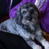 Fuzzy Ruud (@fuzzy_ruud) 's Twitter Profile