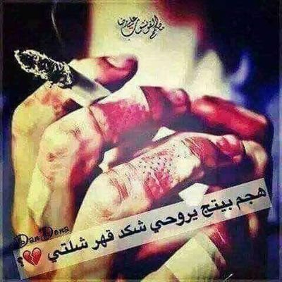 xN4vgtixUuid9rq's profile picture. 