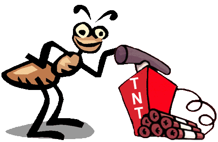 TNTExterminator's profile picture. No Contracts. No Bugs. Ho Hassles. Professional Pest Control from a company you can trust.