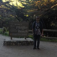 Ari Sanchez (@arisanchez7) 's Twitter Profile