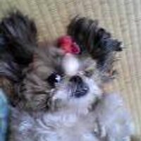 may (@zoe_kob) 's Twitter Profile