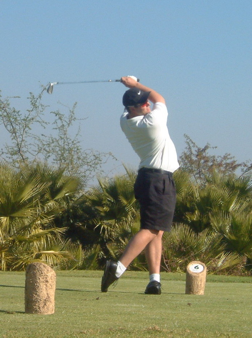 Hawkabee's profile picture. 