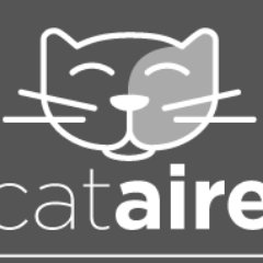 Catairescreens's profile picture. 