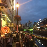 どーじょー (@dohjou_62) Twitter profile photo