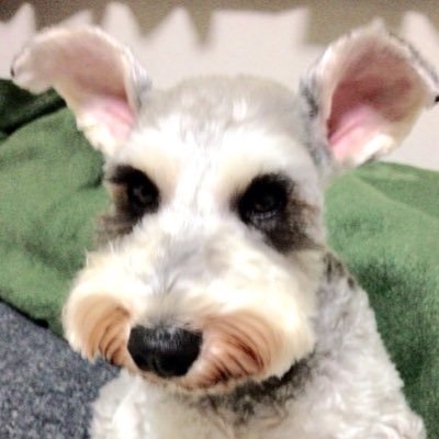 KAZUNOBU3's profile picture. わんわん❣️