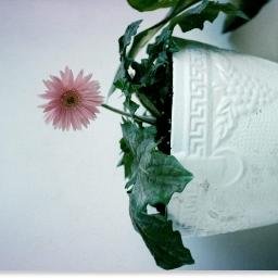 VendettasVisual's profile picture. #VendettaVisual is a @VisualVendetta Network by @kairy @YoungProsPLAY @VisualVendetta @VisualVendettas @VendettaVisual @VendettaVisuals