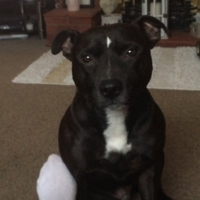 ToolzLJT's profile picture. The truth is, love is a powerful word but truth is a powerful Attribute!