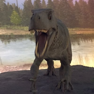 002dayodayo's profile picture. 大阪産業大学ユース2回生 本垢→@domuso1228ab