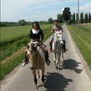 Nicholas Martinelli - @nichmartinelli - Twitter