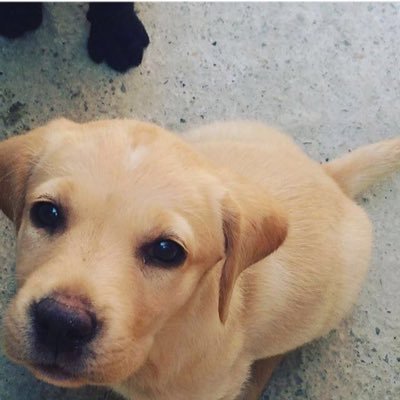 albanamano1's profile picture. Games  Sports Lifestyle Fashion & Beauty DIY & Home