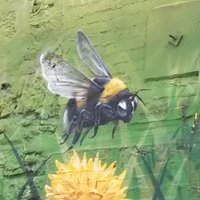 urbanBESS (@bessurban) 's Twitter Profile