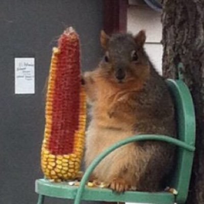 vaguelyamusing_'s profile picture. how old is too old