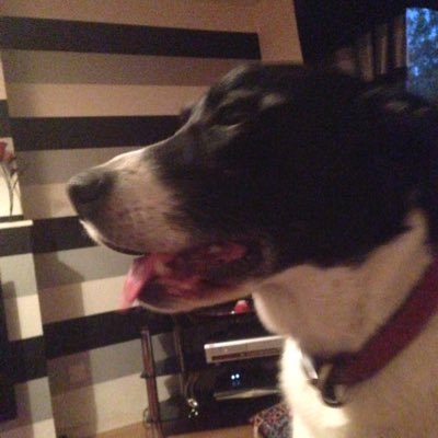Paulgmc70's profile picture. the truth must be told