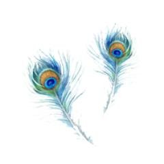 Paediatricsleep's profile picture. Global Sleep Support