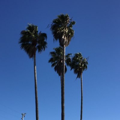 denise_nasuta's profile picture. 