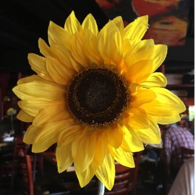 TybtymDenise's profile picture. Wandering this earth so beautifully created by Jehovah and learning each step I take something new.