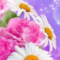 Marwa Mohamed (@zwain987) 's Twitter Profile Photo