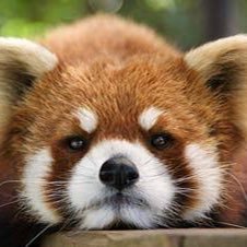 guraburuww's profile picture. 名前:なぁ ジョブ:遊び人(大学生)スキル1:課金 スキル2:幸運 スキル3:現実逃避 サポート:悪ふざけ（煽られたら、悪ノリする）